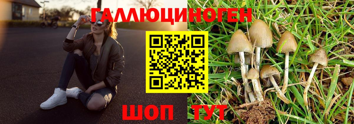 Славянск-на-Кубани  закладки  Псилоцибиновые грибы Cubensis  Вход с VPN  Псилоцибиновые грибы Cubensis 