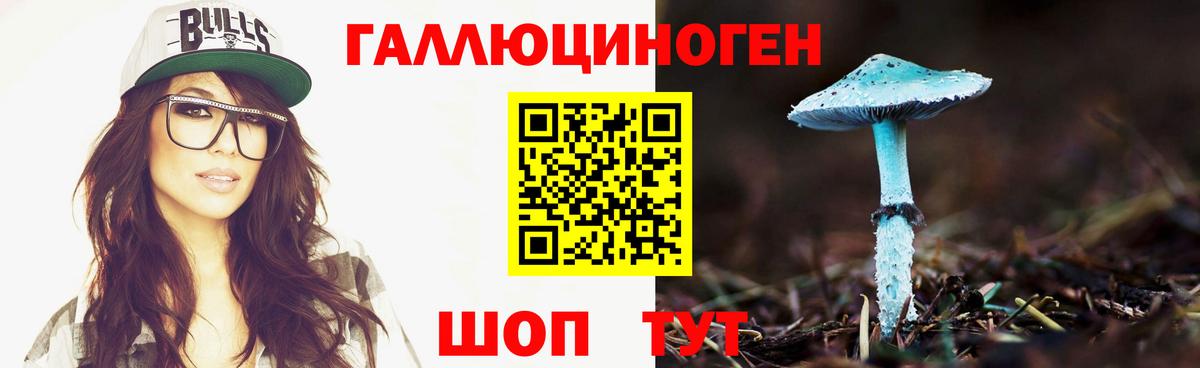 Галлюциногенные грибы Psilocybe Славянск-на-Кубани